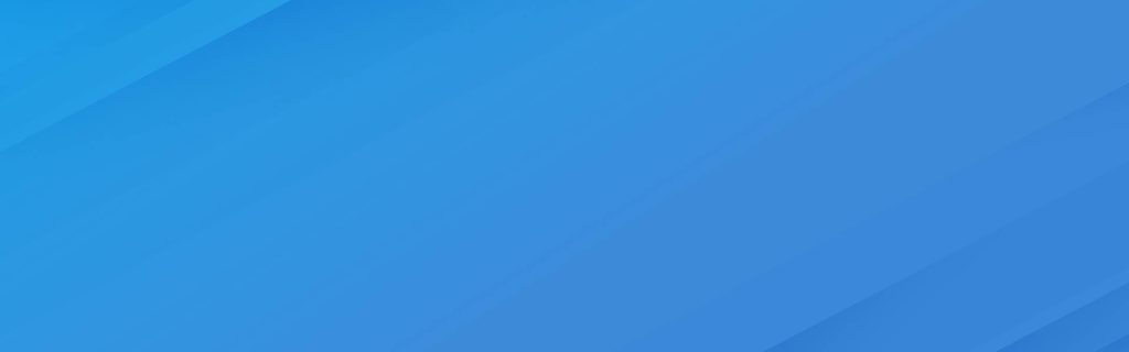 Wisevu Monthly SEO Services