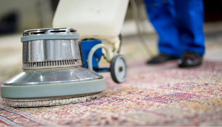 Carpet Cleaning Services
