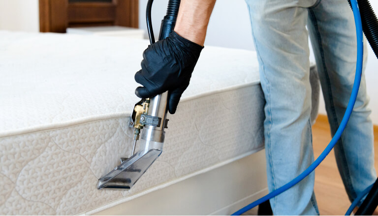 Upholstery & Mattress Cleaning