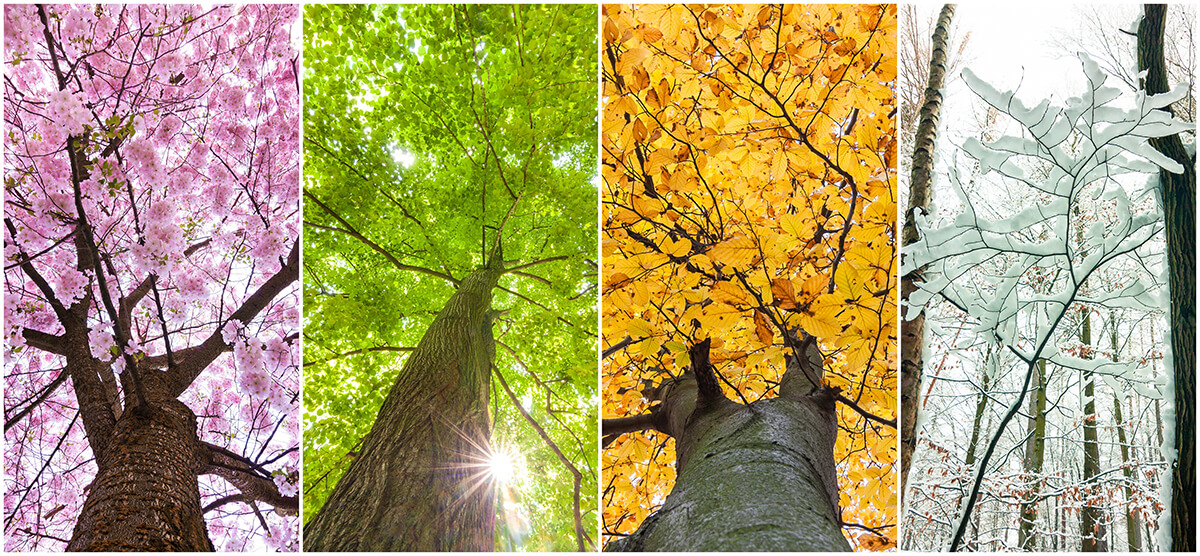 Use Canadian Seasonality To Plan Campaign Timing