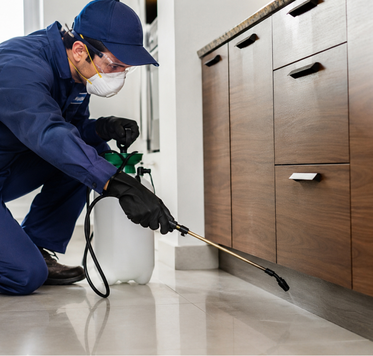 Pest Control Companies